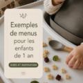 Modèle de repas varié pour un enfant de 1 an avec fruits et légumes.