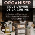 Cuisine avec espace sous évier organisé avec des boîtes de rangement et des étiquettes claires.